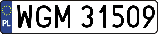 WGM31509