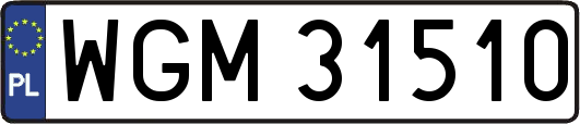 WGM31510