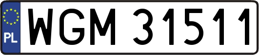 WGM31511