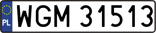 WGM31513