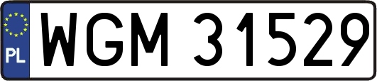 WGM31529