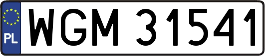 WGM31541