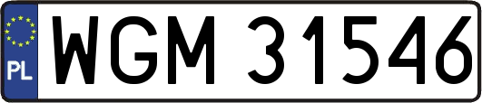 WGM31546
