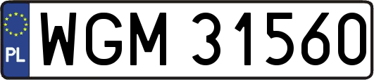 WGM31560