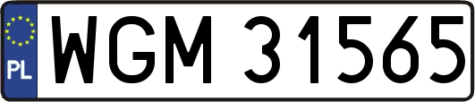 WGM31565