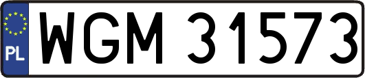 WGM31573