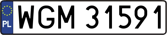 WGM31591