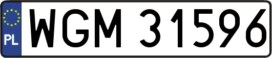 WGM31596