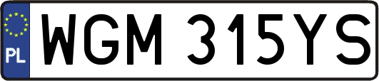 WGM315YS