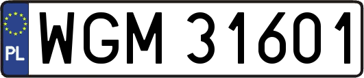 WGM31601