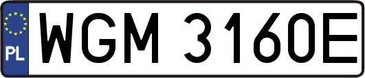 WGM3160E