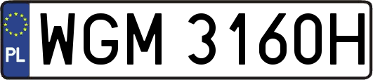WGM3160H