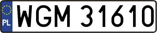 WGM31610