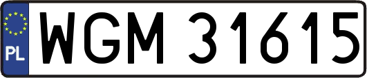 WGM31615