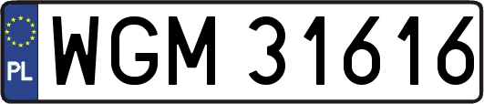 WGM31616