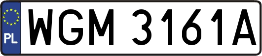 WGM3161A