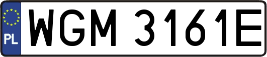 WGM3161E