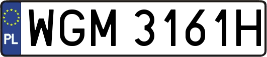 WGM3161H