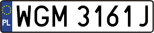 WGM3161J