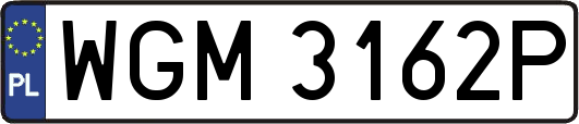 WGM3162P