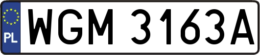 WGM3163A