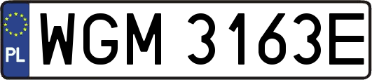 WGM3163E