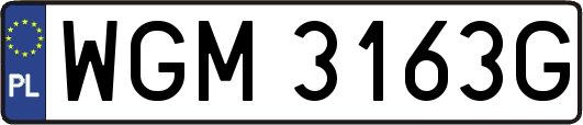 WGM3163G