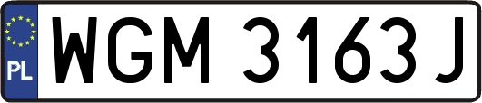 WGM3163J