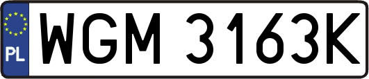 WGM3163K