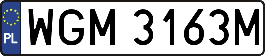 WGM3163M