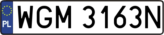 WGM3163N