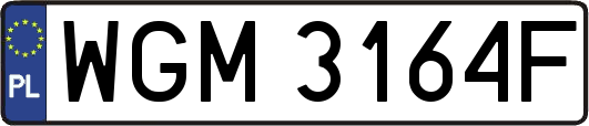 WGM3164F