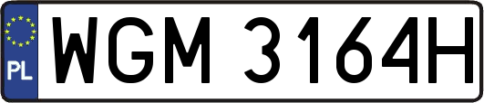 WGM3164H