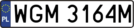 WGM3164M
