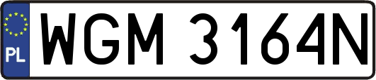 WGM3164N