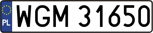 WGM31650