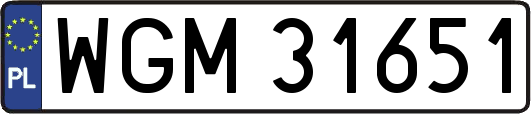 WGM31651