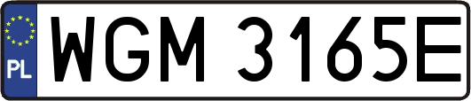 WGM3165E
