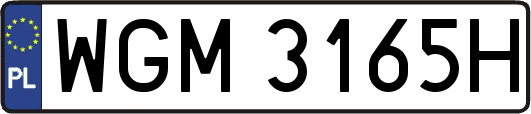 WGM3165H