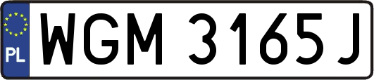 WGM3165J