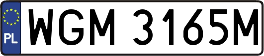 WGM3165M