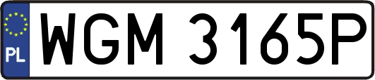 WGM3165P