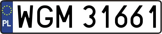 WGM31661