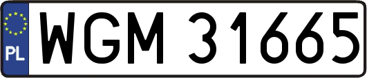WGM31665