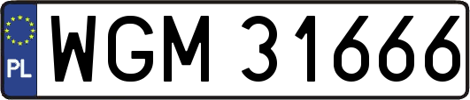 WGM31666