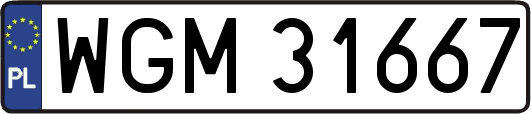 WGM31667