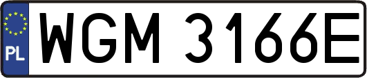 WGM3166E
