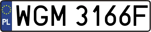 WGM3166F