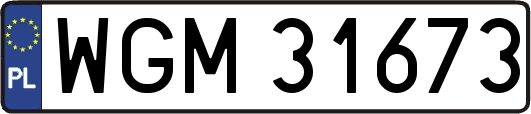 WGM31673