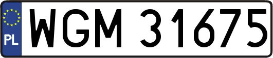WGM31675